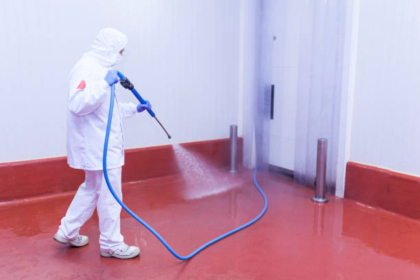 Best Winterizing Services  in Santa Rosa, TX
