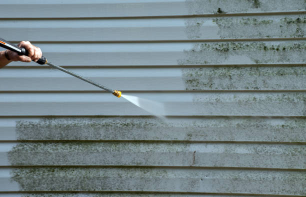 Best Driveway Pressure Washing  in Santa Rosa, TX